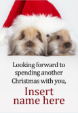 Christmas Rabbits